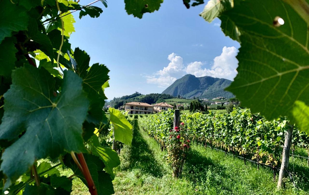 Weingut Gasshof Lejlighed Eppan an der Weinstraße Eksteriør billede